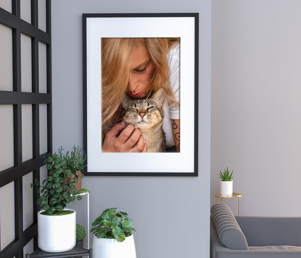 Quadro com fotografia de gato tigrado com a sua humana